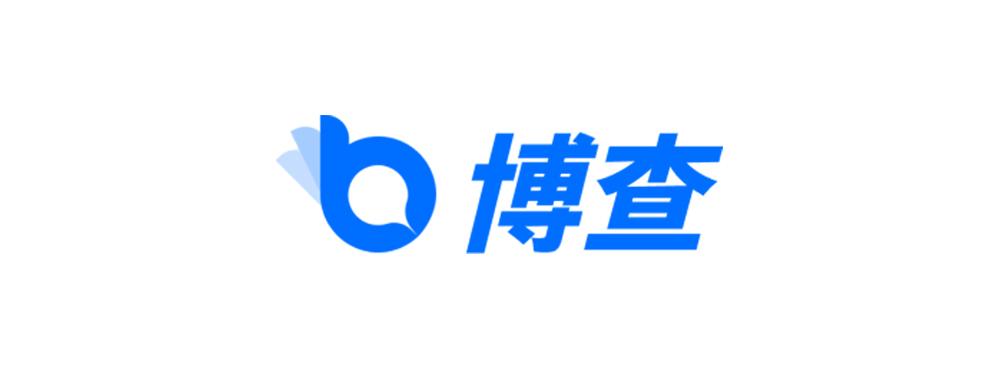 Bocha AI